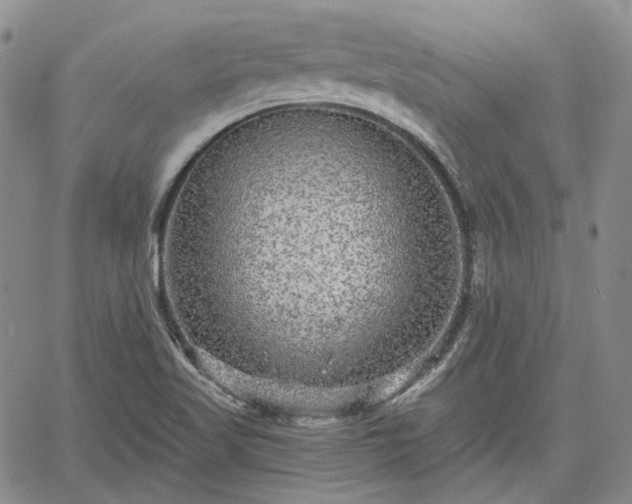 X0000061731509200512091532