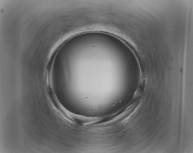 X0000061731510200512091532