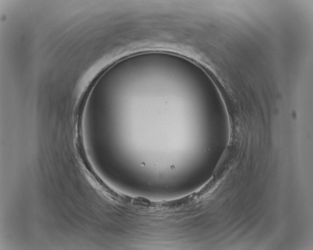 X0000061731511200512091532