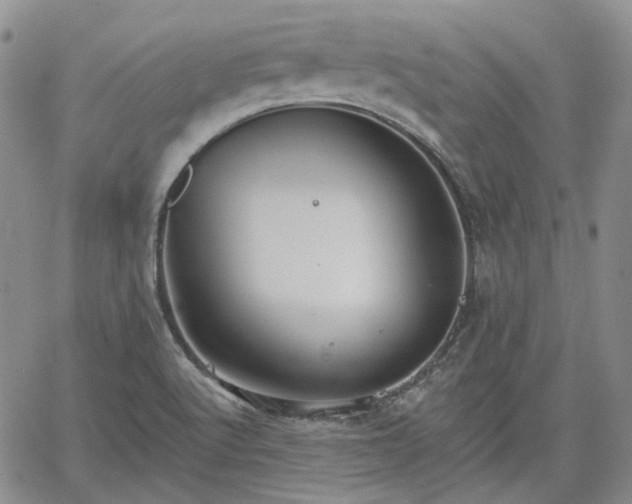 X0000061731512200512091532