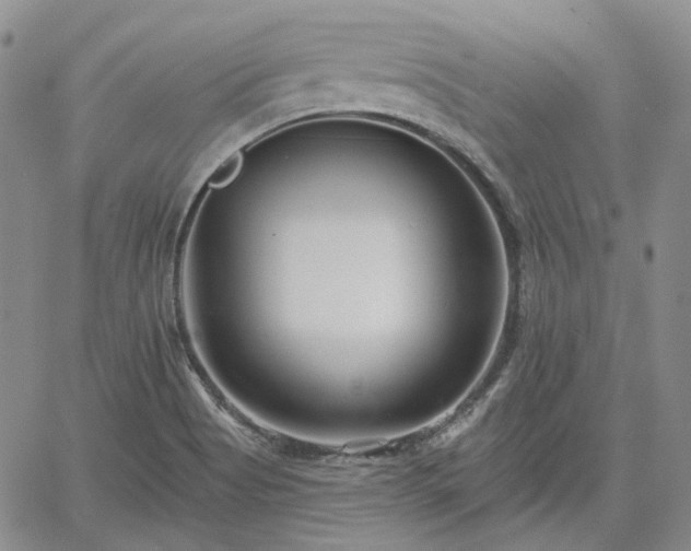 X0000061731513200512091532