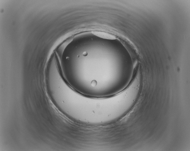 X0000061731514200512091532