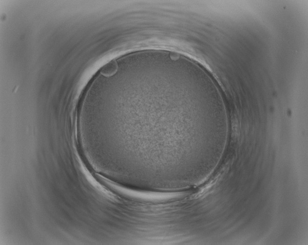 X0000061731515200512091532