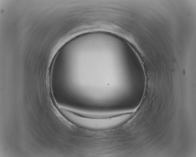 X0000061731516200512091532