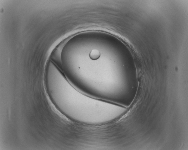 X0000061731518200512091532