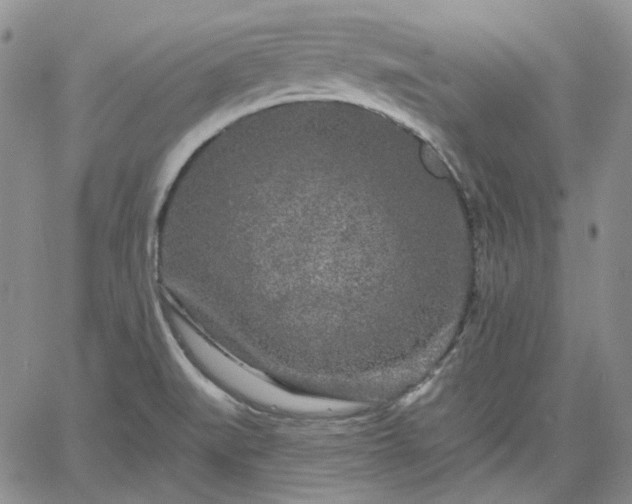 X0000061731519200512091532