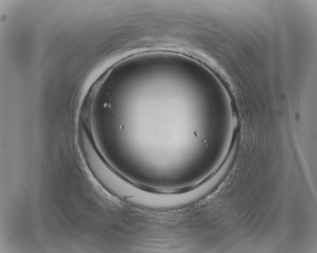 X0000061731520200512091532