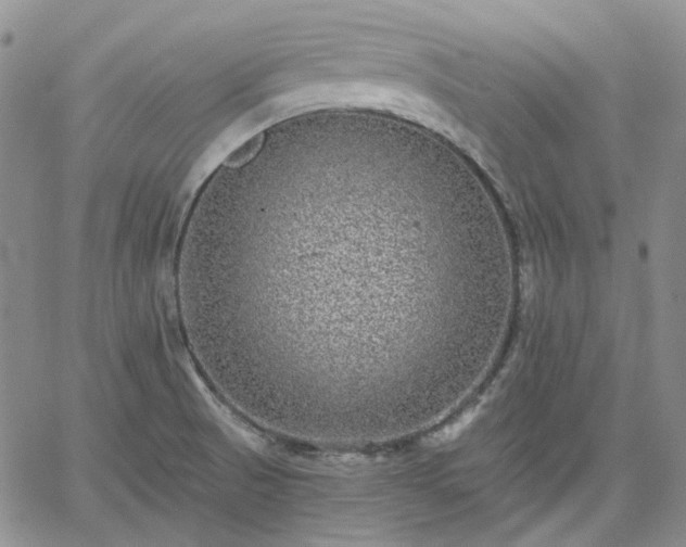 X0000061731521200512091532