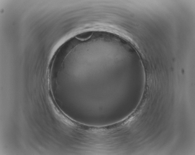 X0000061731522200512091532