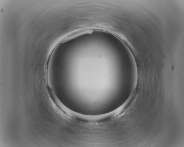 X0000061731524200512091532