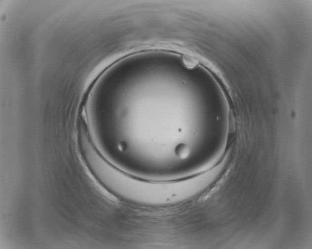 X0000061731525200512091532