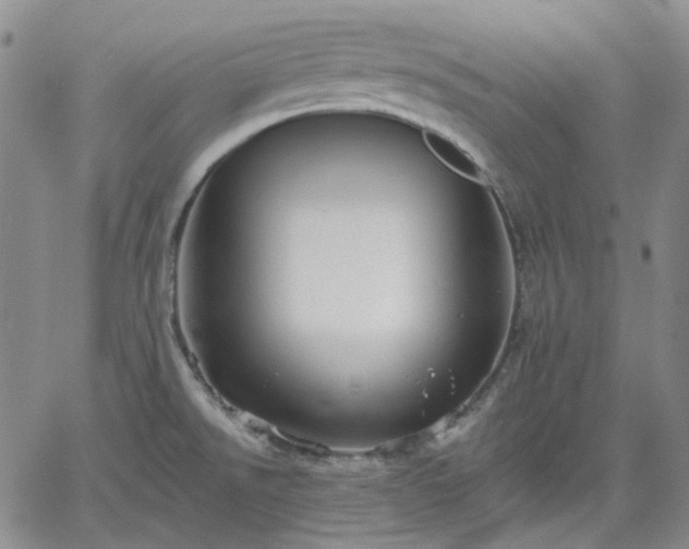 X0000061731526200512091532