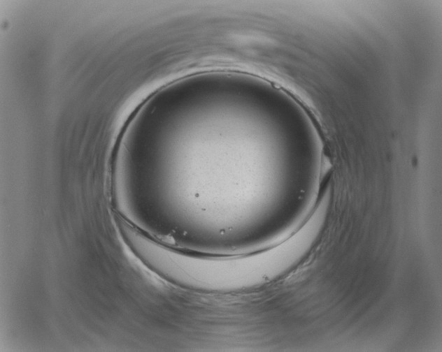 X0000061731527200512091532