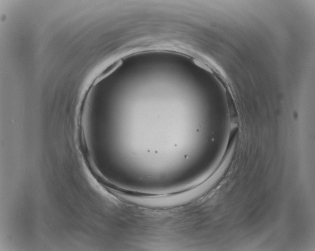 X0000061731528200512091532