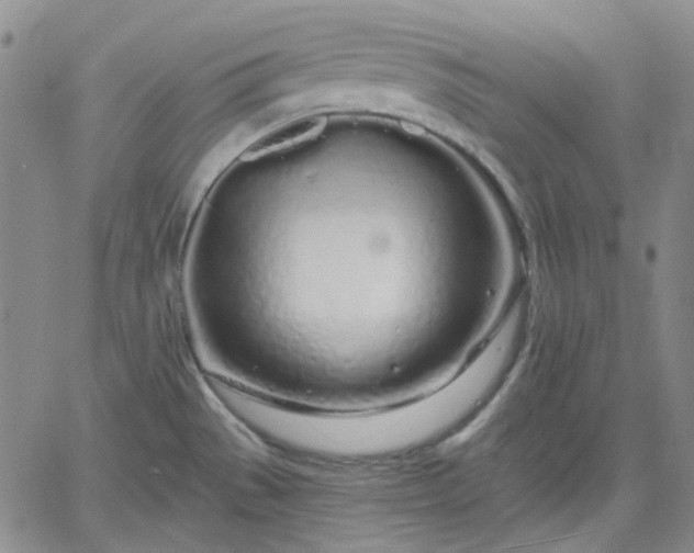 X0000061731529200512091532