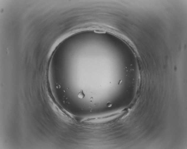 X0000061731530200512091532