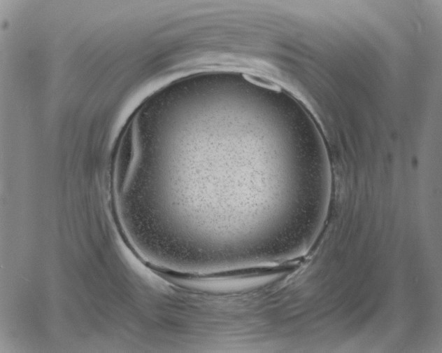 X0000061731531200512091532