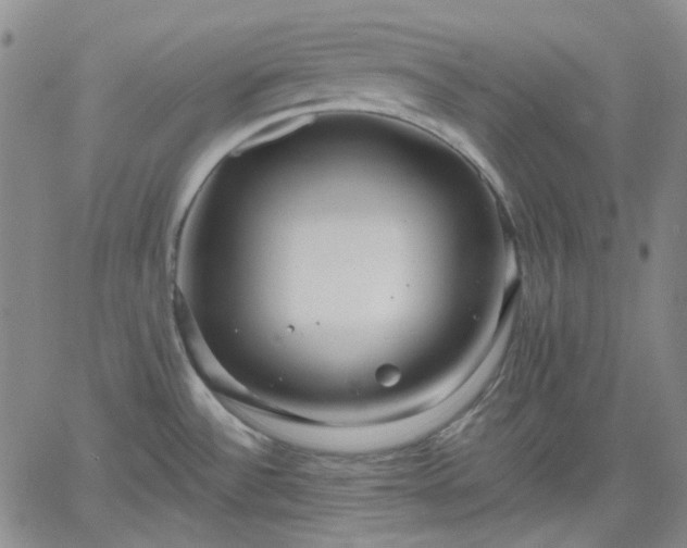 X0000061731532200512091532