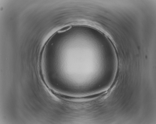 X0000061731533200512091532