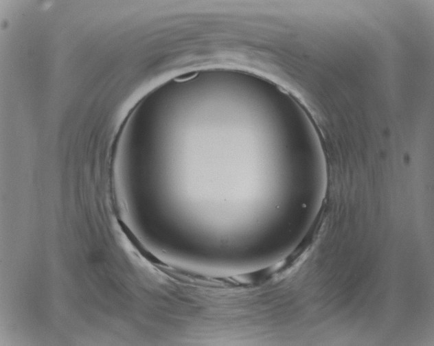 X0000061731534200512091532