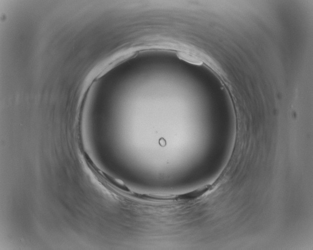 X0000061731536200512091532