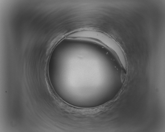 X0000061730001200512161635