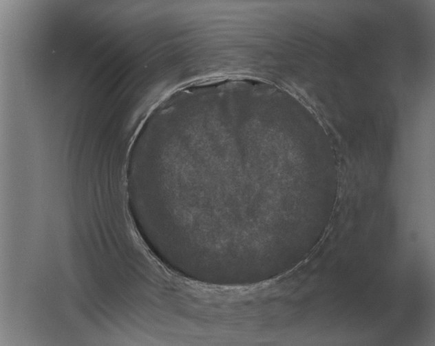 X0000061730002200512161635