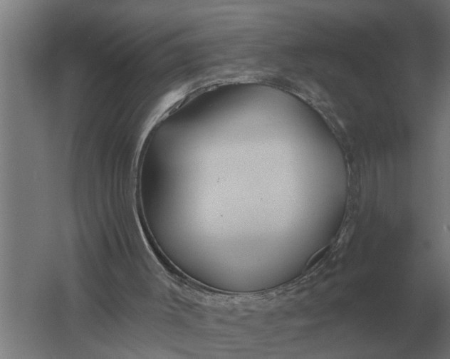 X0000061730003200512161635