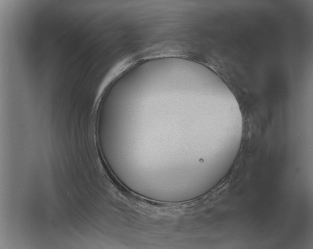 X0000061730004200512161635