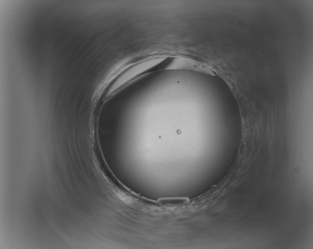 X0000061730005200512161635