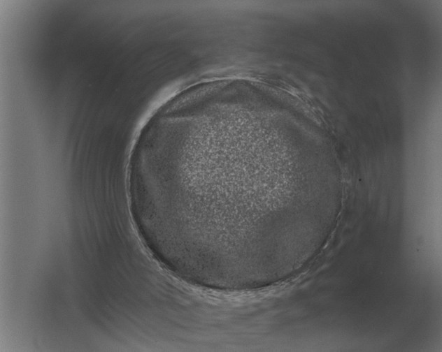 X0000061730006200512161635