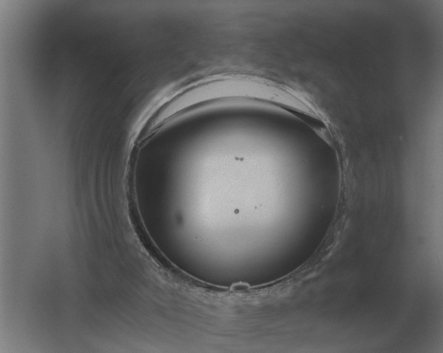 X0000061730007200512161634