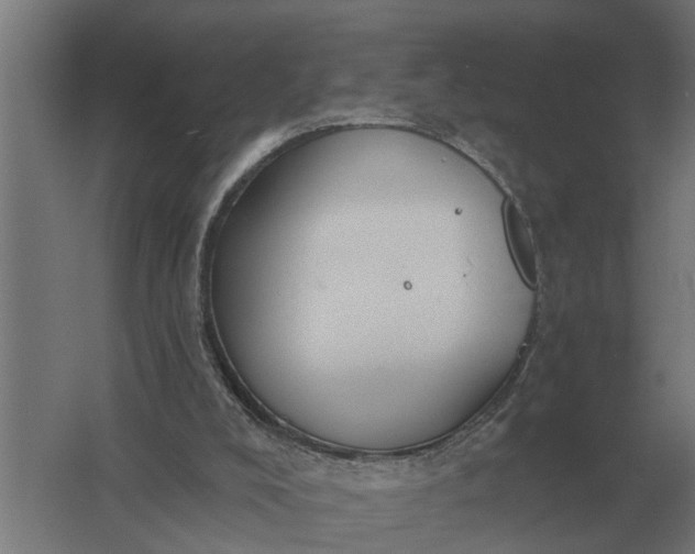 X0000061730008200512161634