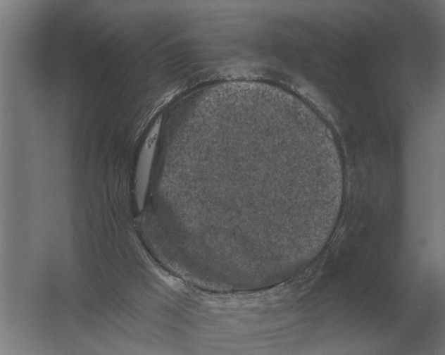 X0000061730009200512161634