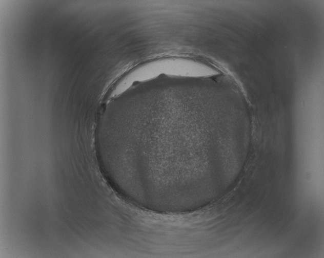 X0000061730010200512161634