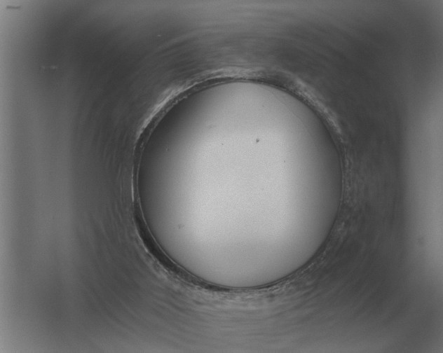 X0000061730011200512161634