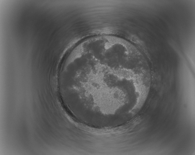 X0000061730012200512161634