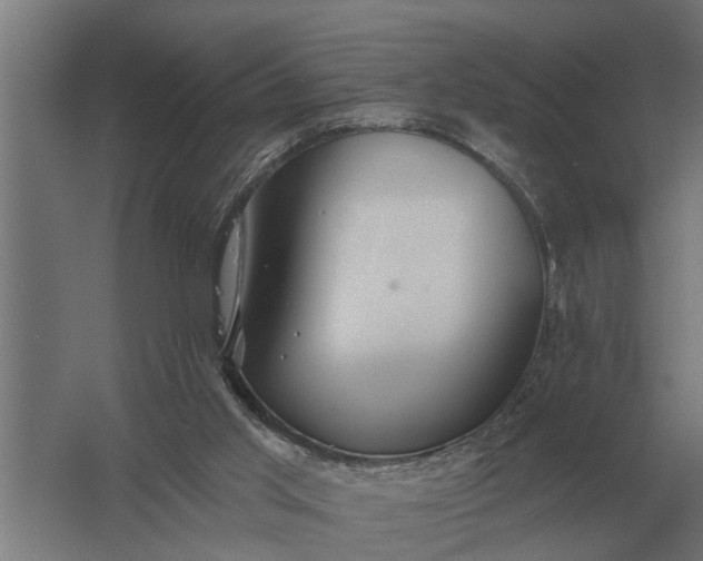 X0000061730013200512161634