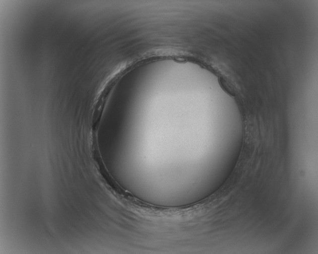 X0000061730015200512161634