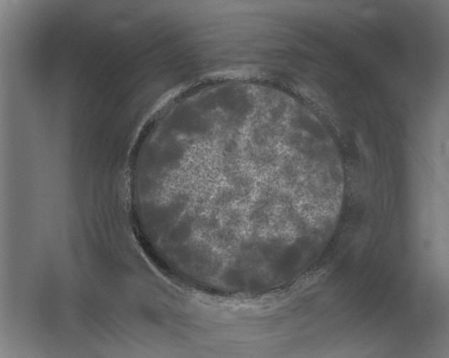 X0000061730016200512161634