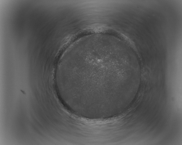 X0000061730018200512161634