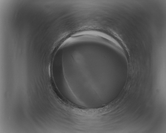 X0000061730019200512161634