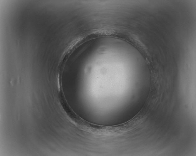 X0000061730020200512161634