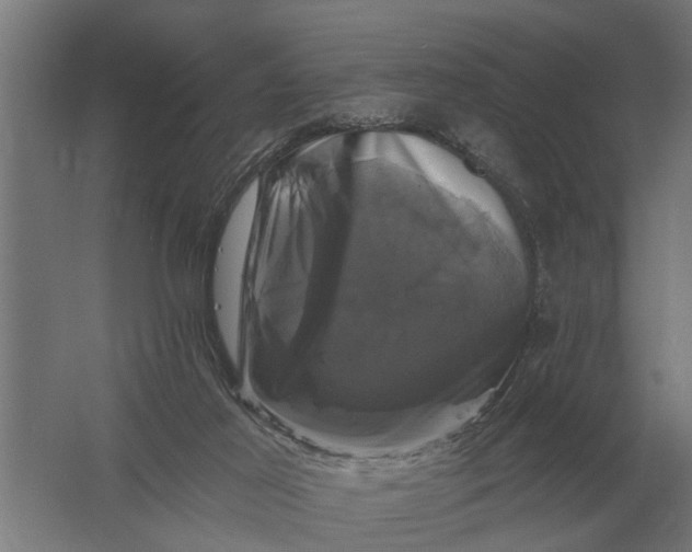 X0000061730021200512161634