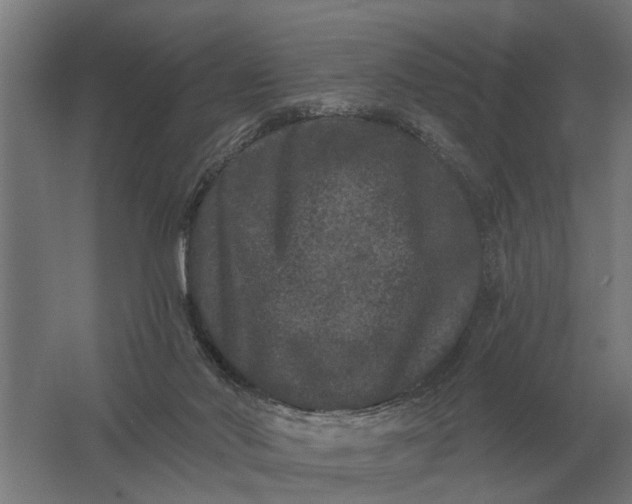 X0000061730022200512161634