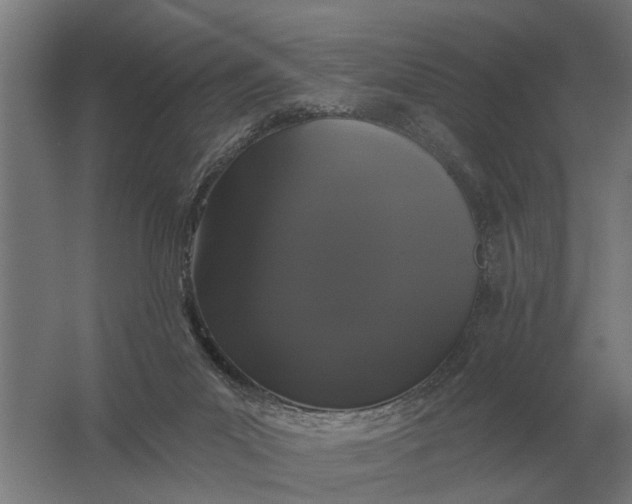 X0000061730023200512161634