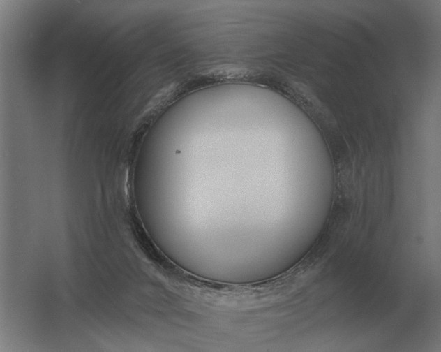 X0000061730024200512161634