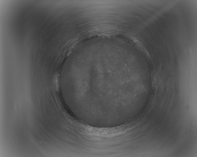 X0000061730026200512161634