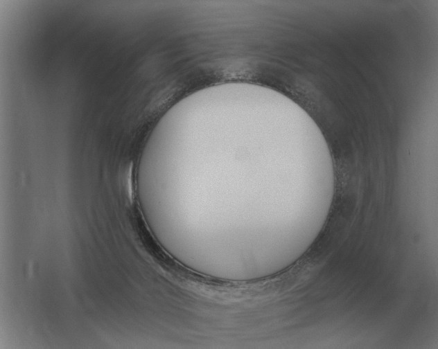 X0000061730028200512161634