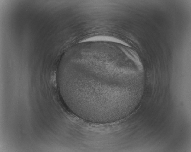 X0000061730029200512161634